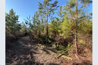 Bff II 6 Brunson Teal Rd Road, Patrick, SC 29584 - Photo 9