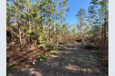 Bff II 6 Brunson Teal Rd Road, Patrick, SC 29584 - Photo 5