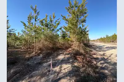 Bff II 7 Brunson Teal Rd Road, Patrick, SC 29584 - Photo 9