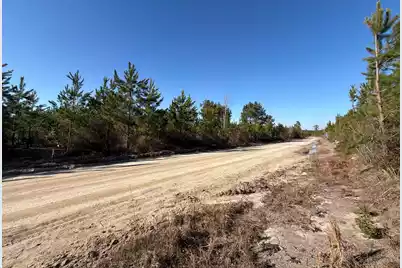 Bff II 7 Brunson Teal Rd Road, Patrick, SC 29584 - Photo 7