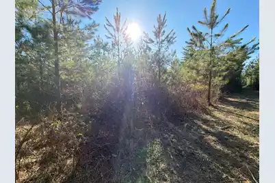 Bff II 7 Brunson Teal Rd Road, Patrick, SC 29584 - Photo 17