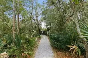 8348 Child's Cove, North Charleston, SC 29418 - Photo 53