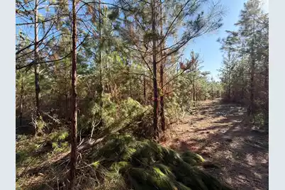 Bff II 8 Brunson Teal Rd Road, Patrick, SC 29584 - Photo 11