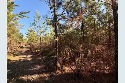 Bff II 8 Brunson Teal Rd Road, Patrick, SC 29584 - Photo 5