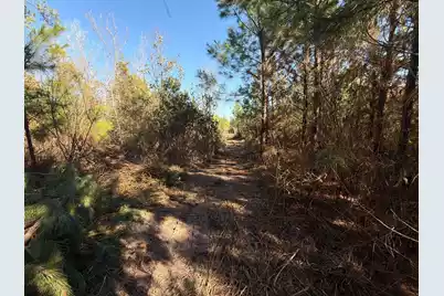 Bff II 8 Brunson Teal Rd Road, Patrick, SC 29584 - Photo 9