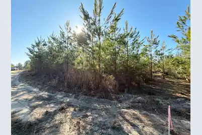 Bff II 8 Brunson Teal Rd Road, Patrick, SC 29584 - Photo 1