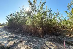 Bff II 8 Brunson Teal Rd Rd, Patrick, SC 29584 - Photo 1