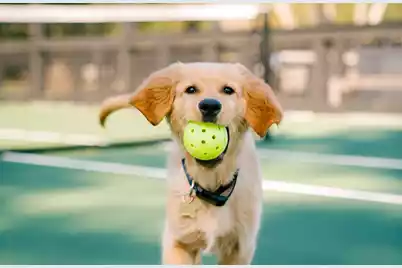 2724 Tidal Lane, Johns Island, SC 29455 - Photo 11