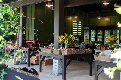 8111 Jack Island Drive, Johns Island, SC 29455 - Photo 19