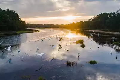 2119 Boatwright Road, Johns Island, SC 29455 - Photo 33