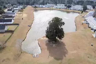 133 Savannah River Dr, Summerville, SC 29485 - Photo 63