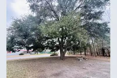 1390 Brantley Avenue, Summerton, SC 29148 - Photo 5