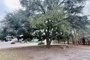 1390 Brantley Ave, Summerton, SC 29148 - Photo 5