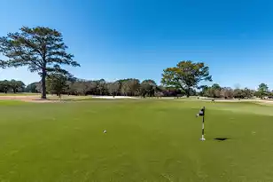 1198 Ambling Way, Mount Pleasant, SC 29464 - Photo 37