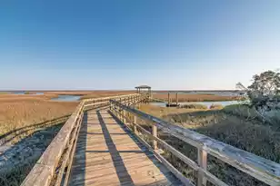 2152 Oyster Reef Ln, Mount Pleasant, SC 29466 - Photo 35