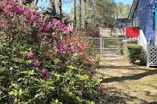 116 Underhill Rd, Walterboro, SC 29488 - Photo 23