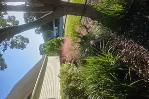 201 Ash Ct, Summerville, SC 29486 - Photo 47