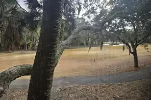 761 Summerwind Cir, Edisto Beach, SC 29438 - Photo 13