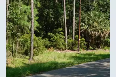 8662 Palmetto Road, Edisto Island, SC 29438 - Photo 3