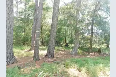 8662 Palmetto Road, Edisto Island, SC 29438 - Photo 7