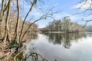 00 Pine Bluff Rd, Dorchester, SC 29437 - Photo 9