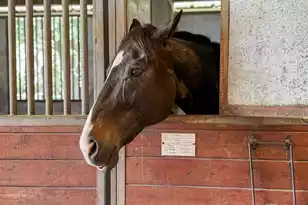 163 Keans Neck Rd, Seabrook, SC 29940 - Photo 17