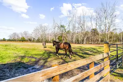 163 Keans Neck Road, Seabrook, SC 29940 - Photo 11