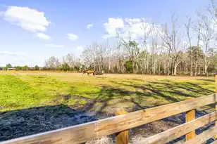 163 Keans Neck Rd, Seabrook, SC 29940 - Photo 15