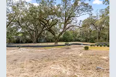 1042 Chambers Lane, Mount Pleasant, SC 29464 - Photo 3