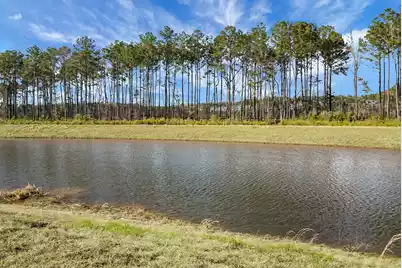 231 Cypress Preserve Boulevard, Moncks Corner, SC 29461 - Photo 43