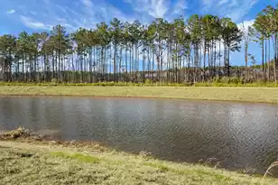 231 Cypress Preserve Blvd, Moncks Corner, SC 29461 - Photo 43