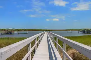 1553 Sweet Myrtle Cir, Mount Pleasant, SC 29466 - Photo 63