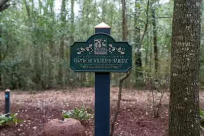 1217 Antigua Drive, Mount Pleasant, SC 29464 - Photo 59