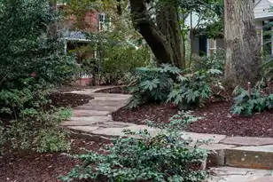 1217 Antigua Dr, Mount Pleasant, SC 29464 - Photo 53