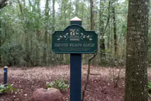 1217 Antigua Dr, Mount Pleasant, SC 29464 - Photo 61