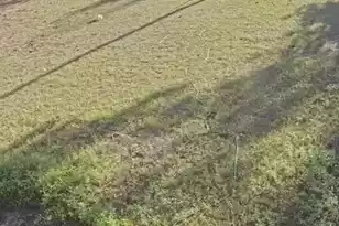 119 Golden Mack Rd, Latta, SC 29565 - Photo 3