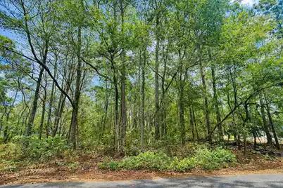 890 Flowers Lane, Edisto Island, SC 29438 - Photo 3