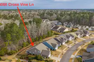 3066 Cross Vine Ln, Summerville, SC 29483 - Photo 71