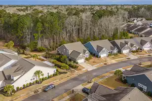 3066 Cross Vine Ln, Summerville, SC 29483 - Photo 69