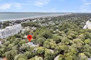 38 Twin Oaks Ln, Isle Of Palms, SC 29451 - Photo 43