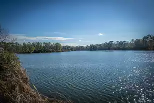 2750 Sunrose Ln., Johns Island, SC 29455 - Photo 61