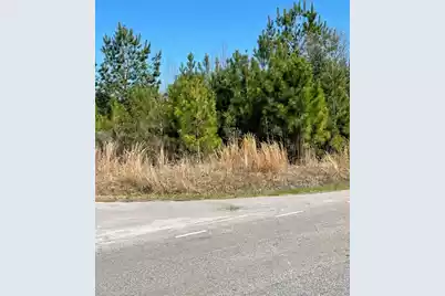 0 Herndon Street, Walterboro, SC 29488 - Photo 3