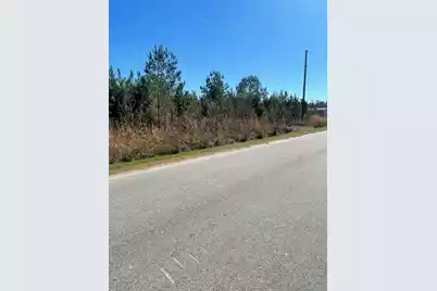 0 Herndon Street, Walterboro, SC 29488 - Photo 1