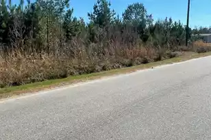 0 Herndon St, Walterboro, SC 29488 - Photo 1