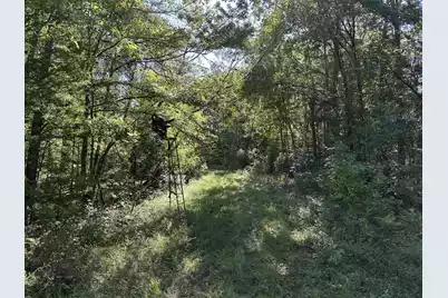 0 Big Bird Lane, Summerville, SC 29483 - Photo 9