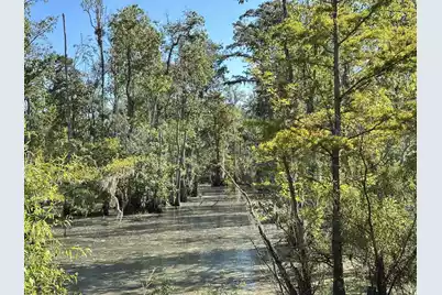 0 Big Bird Lane, Summerville, SC 29483 - Photo 11