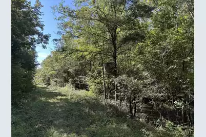 0 Big Bird Lane, Summerville, SC 29483 - Photo 3