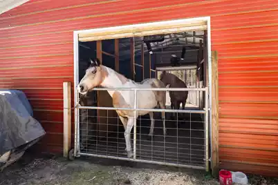 371 Rhode Drive, Cottageville, SC 29435 - Photo 59