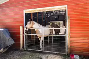 371 Rhode Dr, Cottageville, SC 29435 - Photo 59