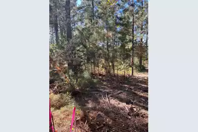 Drf 1 Dawkins Road #Drf 1, Pacolet, SC 29372 - Photo 9